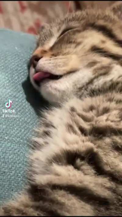 Anyone else sleep like this?