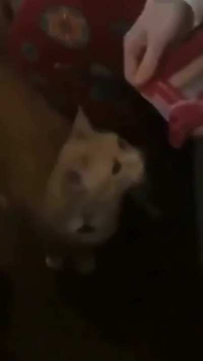 WHAT WAS THAT-! GIVE!!
