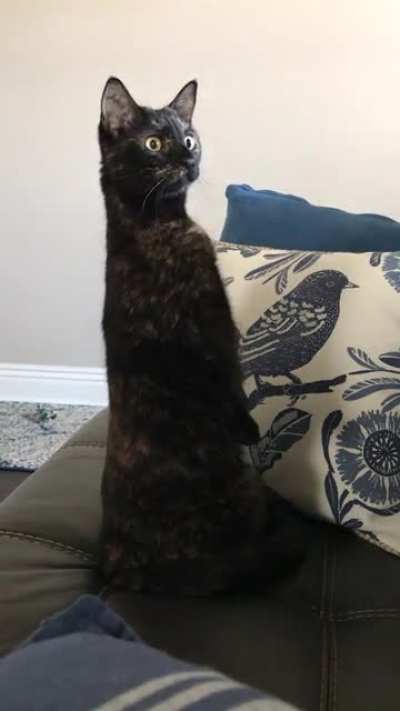 She&rsquo;s not a fan of the pest control guy.