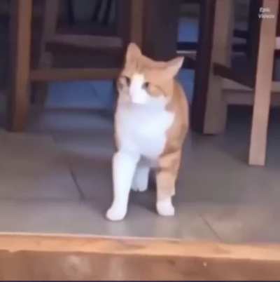 &ldquo;OH NO&rdquo;