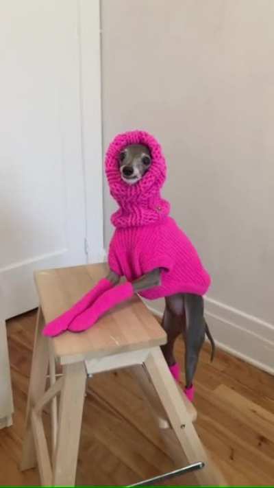 Braving leaving the house for the first time since March and needing advice