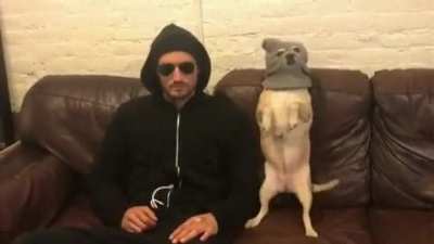 "I'm a thug now"