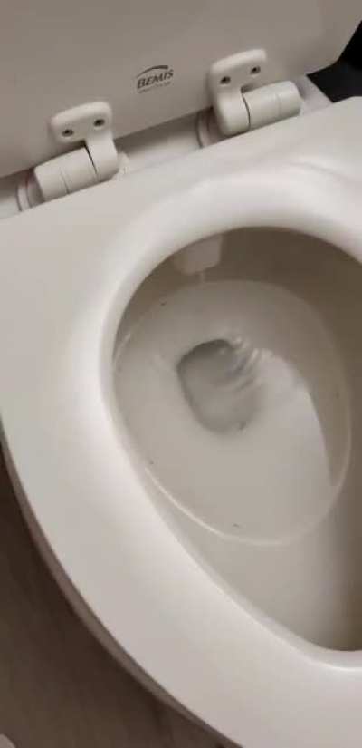 Bidet