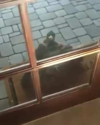 Reenkarnasyon sonrası &uuml;lkenin geleceğini &ccedil;alan siyasal islamcılardan hesap sormaya gelmişim.