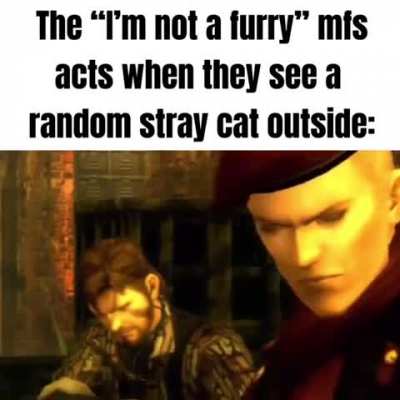 rule