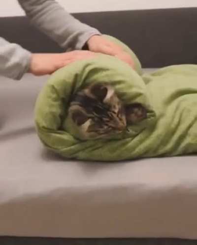 Linda! I&rsquo;m not your sushi roll