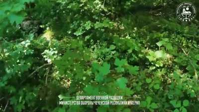Ukraine War | &ldquo;The Waist and The Knees&rdquo; Edition Compilation Series I (July 24, 2024). Just one day of work of the Ukrainian army (July 24, 2024). Here are the latest videos. All clips are taken from official sources of the Ukrainian Armed Forces. Enjoy!