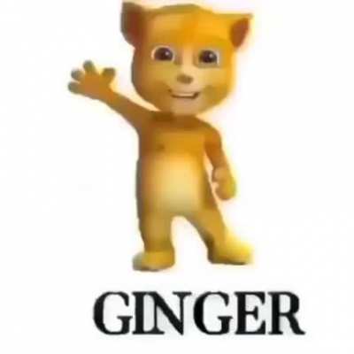 ginger ....D:
