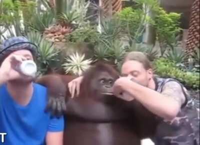 monke