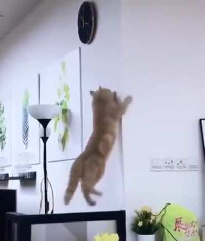 Oooo! That is gotta hurt.