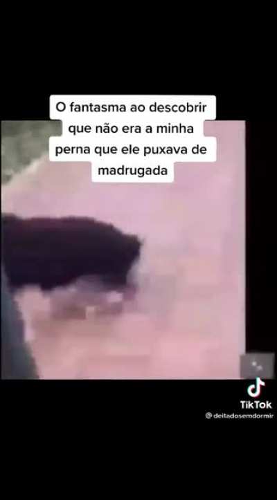 Era minha m&atilde;o
