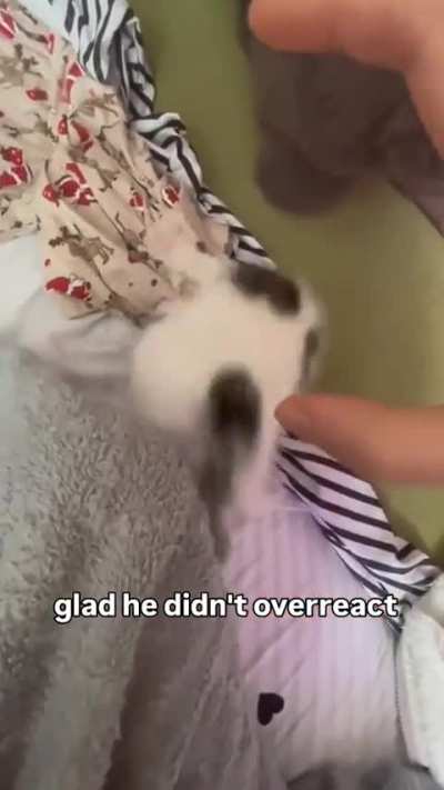 Phew I'm glad
