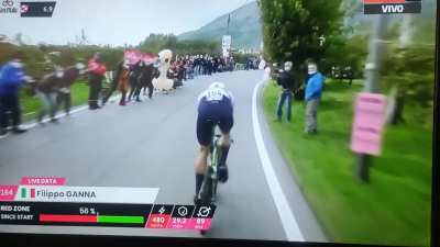 Some people dare to say cycling is boring...