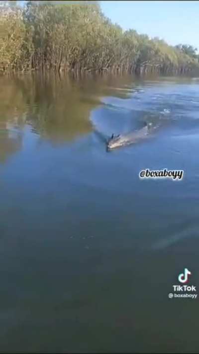 To catch a fish.