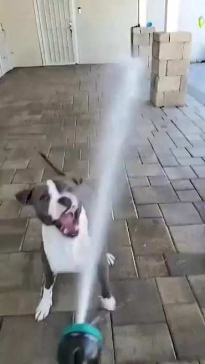 Refreshment Time!