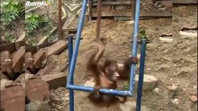 Poor monke