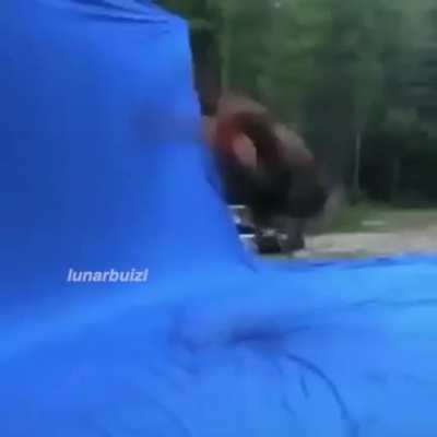 rule