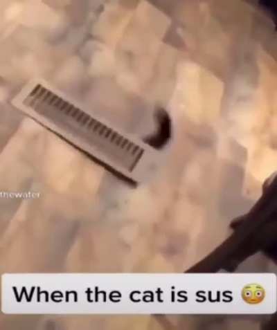 &brvbar;&brvbar;&brvbar;&brvbar;&brvbar;&brvbar;&brvbar;&brvbar;&brvbar;