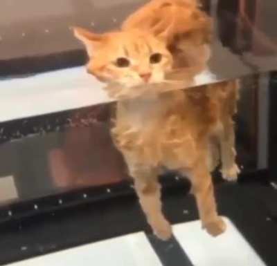 Чил