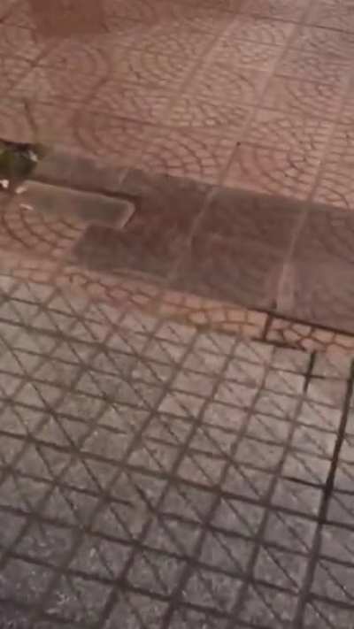 Viejo o Pibe? Que se armeeeeee