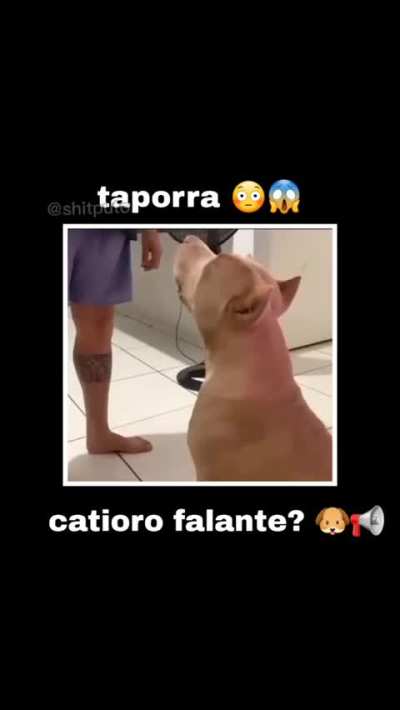 Ele se revelou
