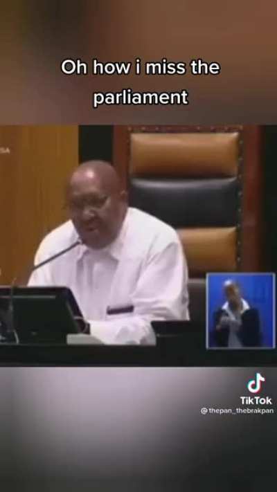 A little taste of South African Parliament