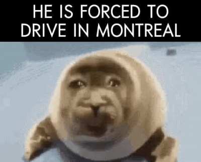 Ostie de calice de marde pareil