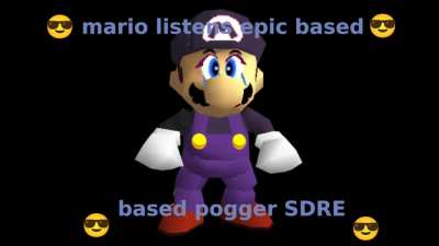oh god oh fuck Mario Mario found a copy of Diary in the Goodwill parking lot
