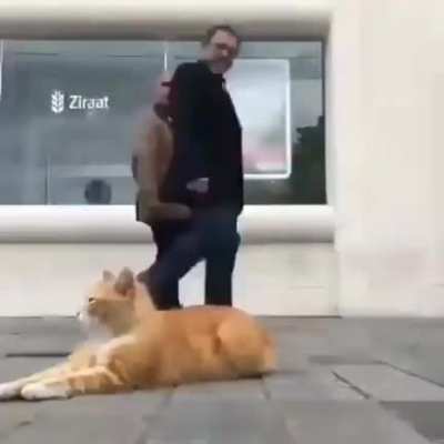 p.e.k.i