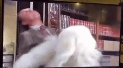 The king of ironfist