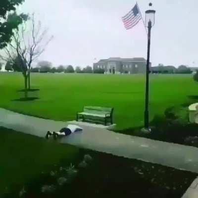 Nooo