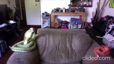 I can&rsquo;t believe the trolls made Josh do that to his apartment