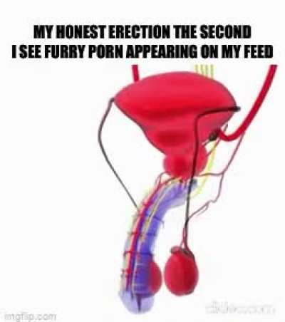 My honest erection