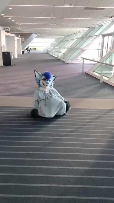 furry_irl