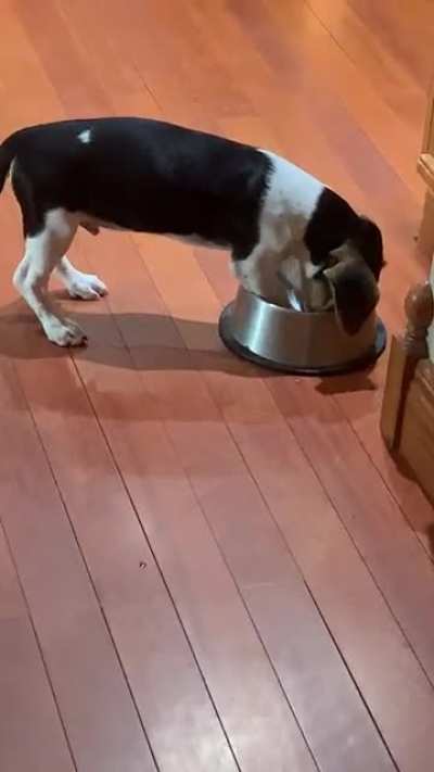 &ldquo;This is where the food should be and the food is LATE.&rdquo; He really even tries to take bites 😂