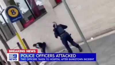 Man brutally bashes female police officer while other office panics.