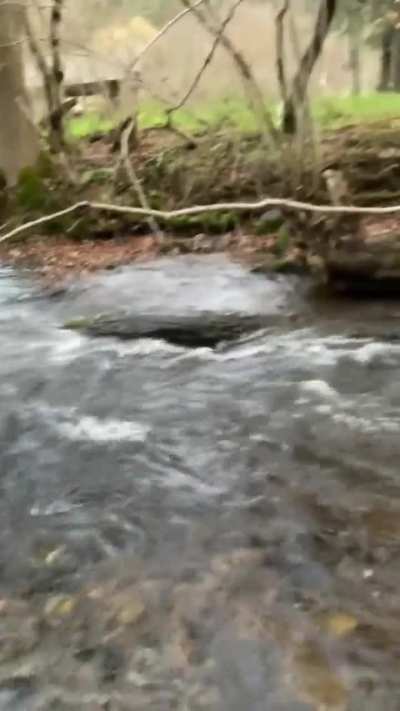 HMB and let me cross it