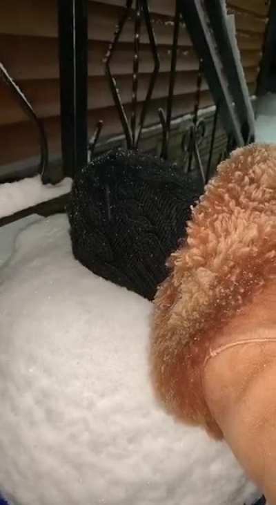 Snow face.
