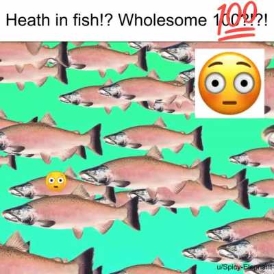 OK. HEATH IN FISH!?! 😳😳😳 WOLE-SUM !11!!!
