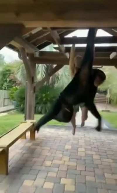 Monke