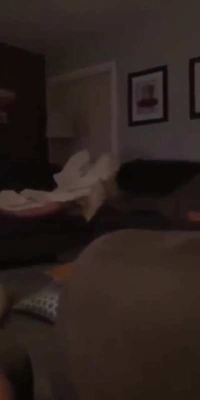 BOINK