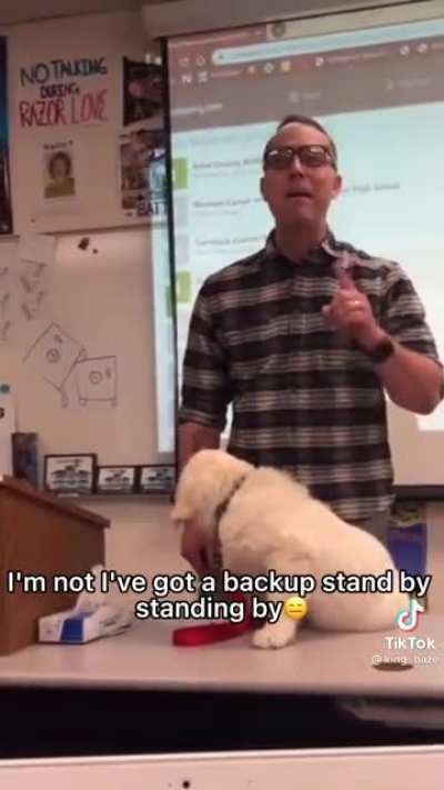 Buck the Vocab Dog has a backup in his wake