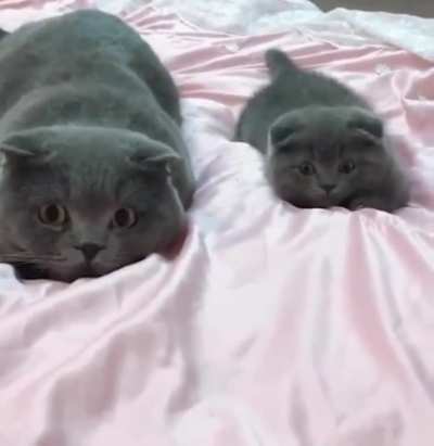 Don&rsquo;t ever talk to me or my son ever again
