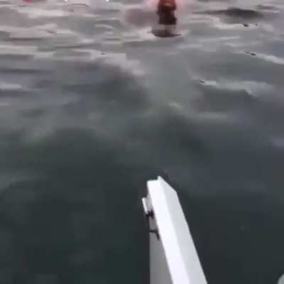 Shit