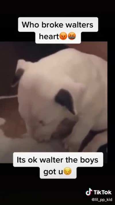 Who made Walter sad