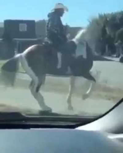 Do you like girls or dance horse?