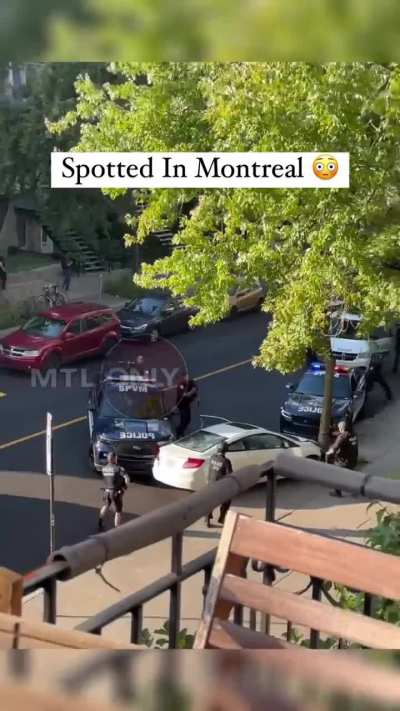 Trying to escape the cops