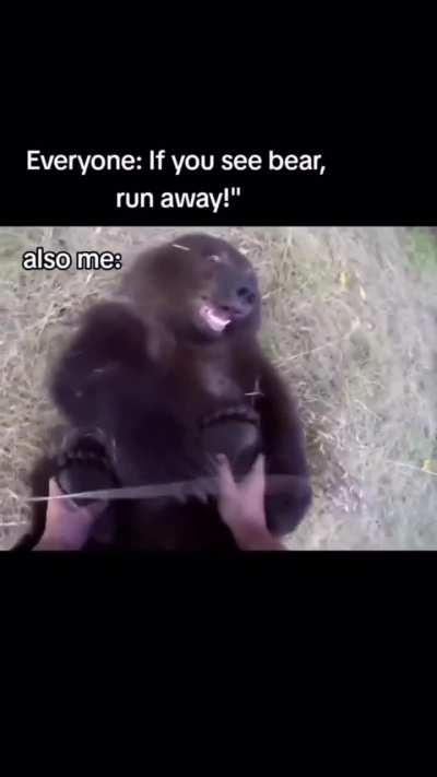 I can't tell who's more high the man or the bear