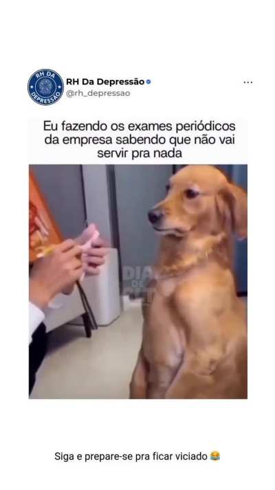 Exames da empresa