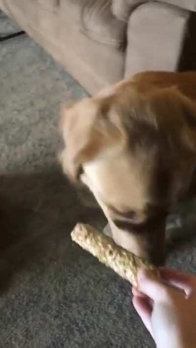 He won&rsquo;t take treats until he knows his sister got one